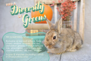 Photo courtesy of by Alicia Moreland. Graphic designed by Amy Ramnaraine