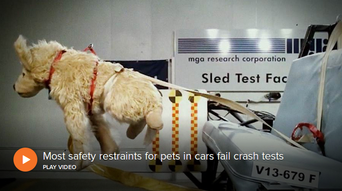 File:Mostrestraintsforpetsincarsfailcrashtests1.jpg
