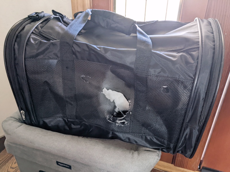 File:SneakyDragon soft carrier 2022-04.jpeg