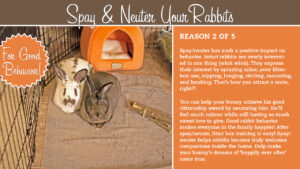 Bun Jovi and Simone K Chan. Graphic by Amy Ramnaraine