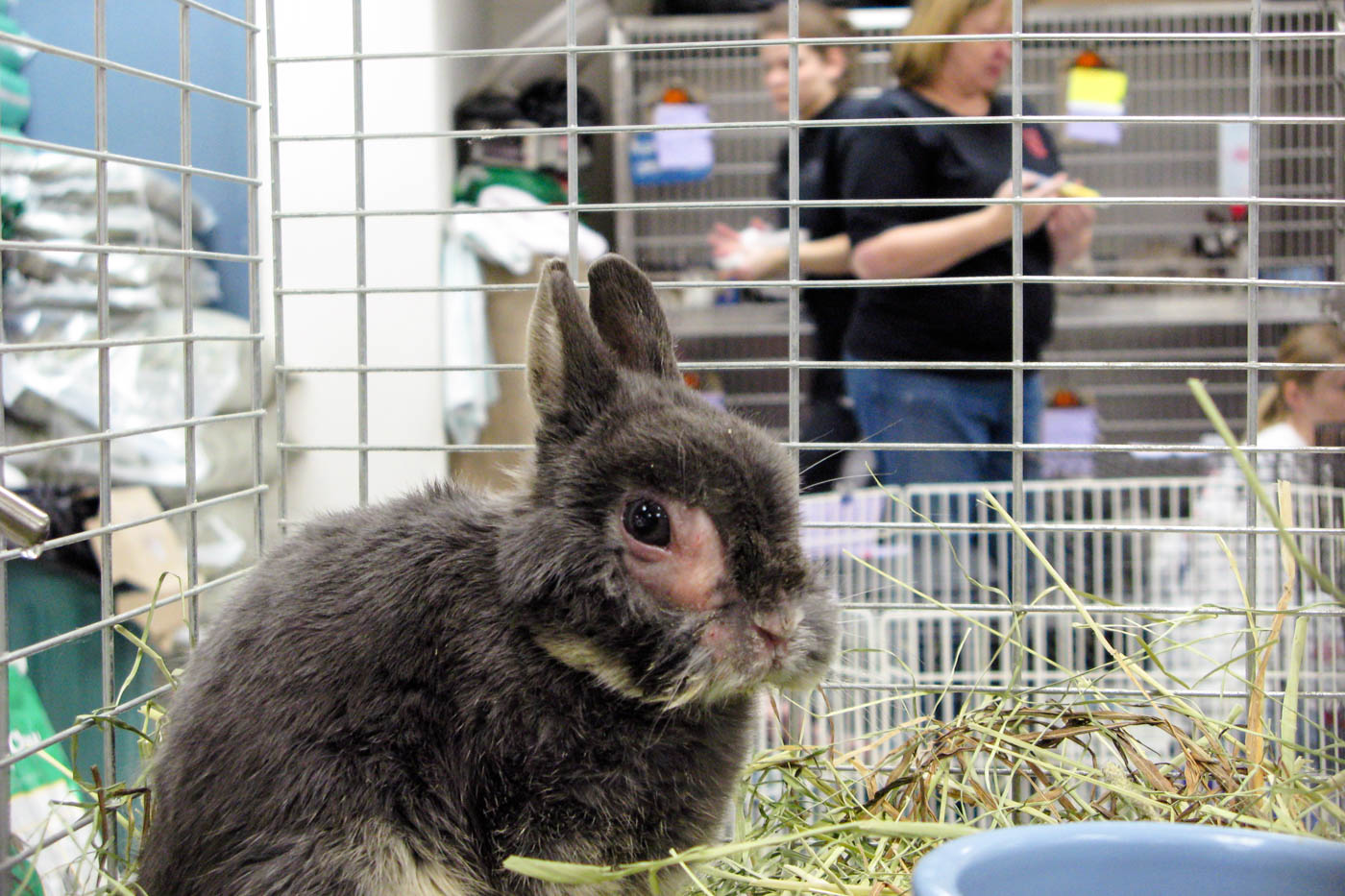 This image has been cropped and color corrected. 