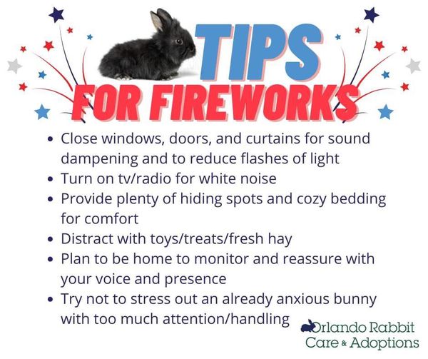 File:TipsForFireworks.jpg