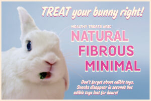 Oliver Olaf by Joe Beane. Graphic by Amy Ramnaraine.