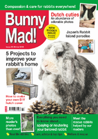 BunnyMadIssue22.png