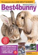 Best4BunnyIssue03.png
