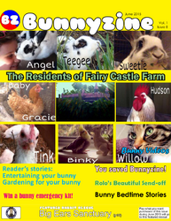 BunnyzineMag1.png