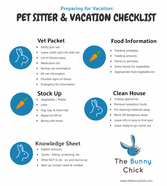 File:TheBunnyChickPetSitterVacationChecklist1.png