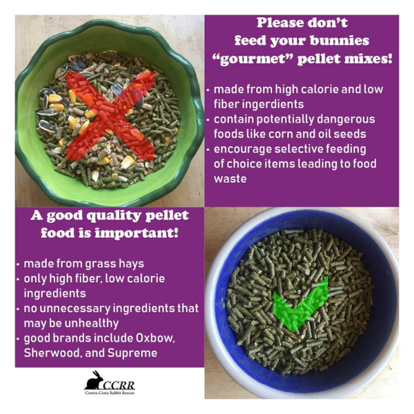 File:Ccrr pellets yesno.png