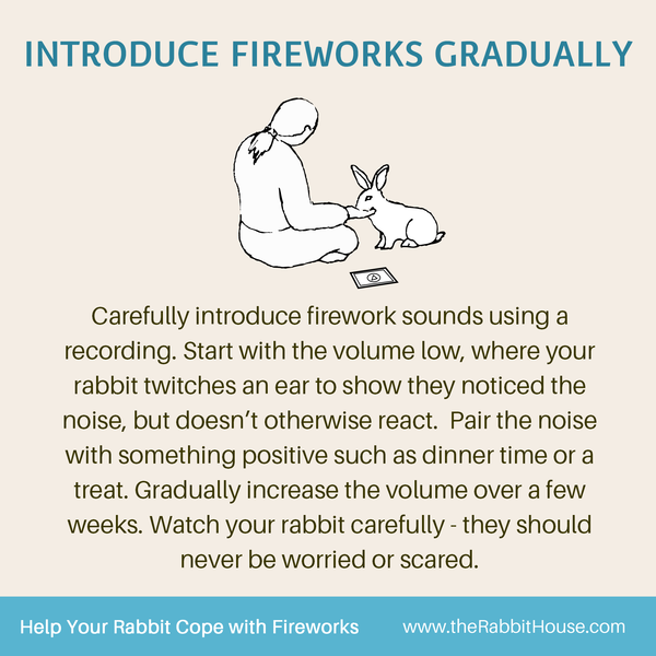 File:TRH-Fireworks5.png