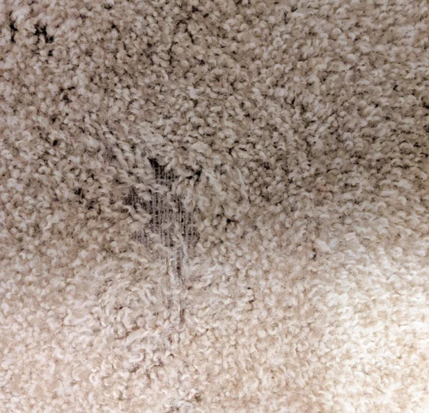 File:Carpet destroyed.png