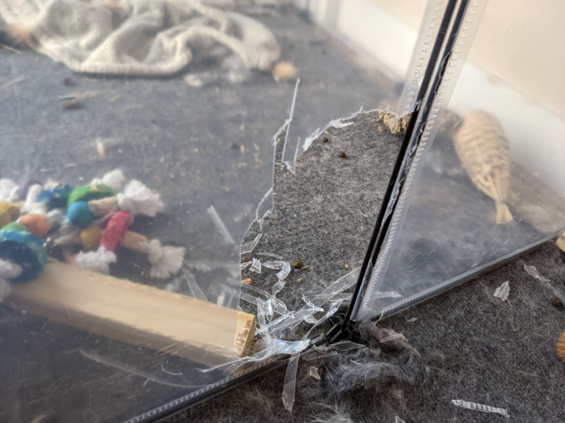 File:Melissa tespo pen.png