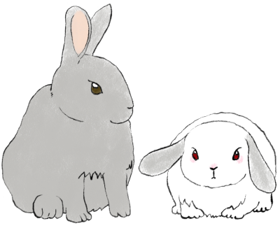 File:New rabbit icon.png