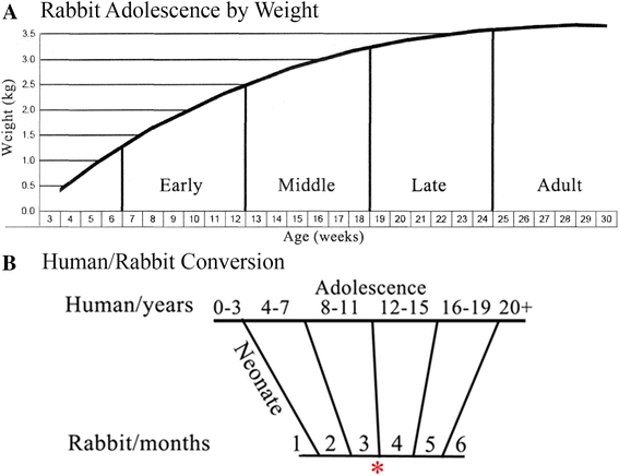 File:Rabbit-body-weight-vs-age.png