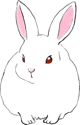 File:Should i get rabbit icon.png